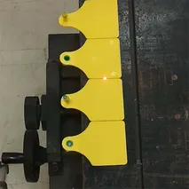 Лазерная маркировка на ушной бирке животного